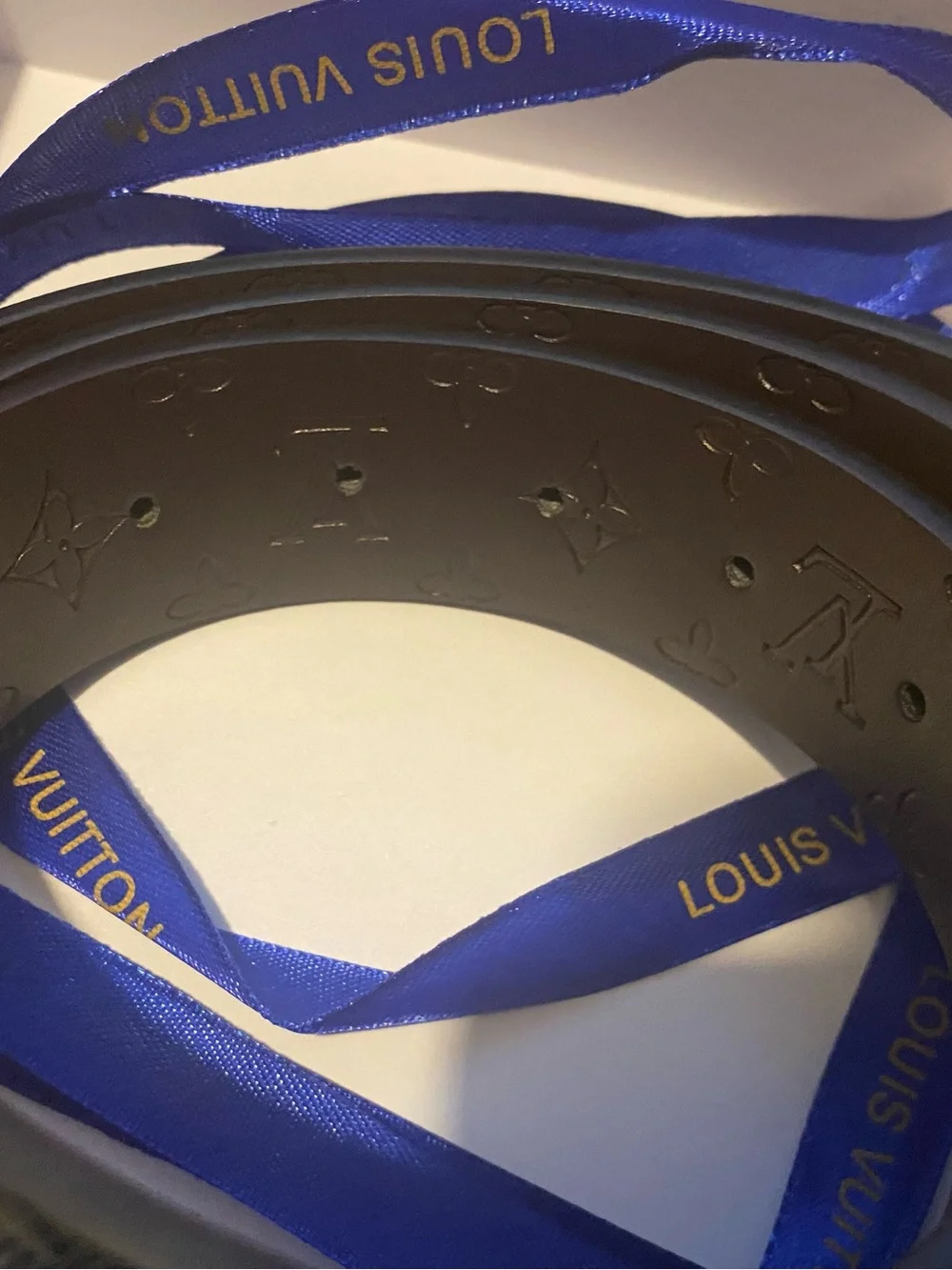 Louis Vuitton signature louis